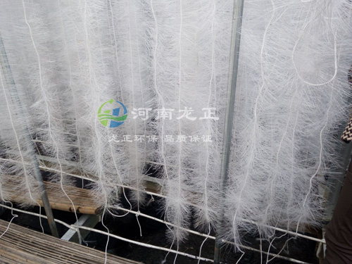 ���w��������