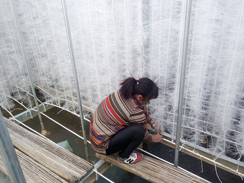 ̫�(y��ng)��늳؏Sܛ�����ϰ��b