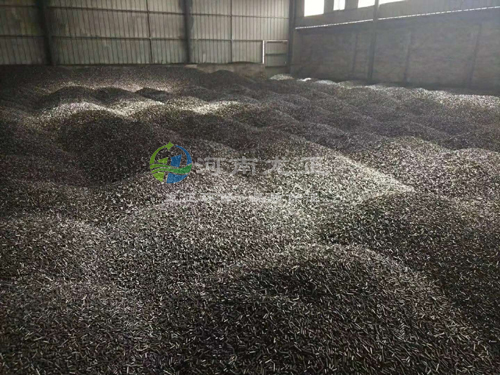 �������̿��Ʒ�}��